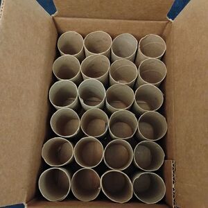 Craft Lot of 24 Empty Cardboard Toilet Paper Tubes